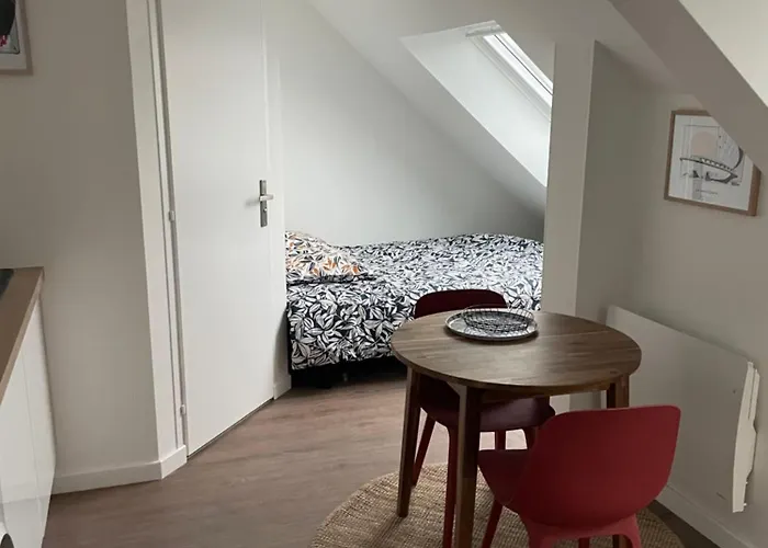 Studio 403 - Hyper Centre - Integralement Renove - Toutes Commodites A Pied